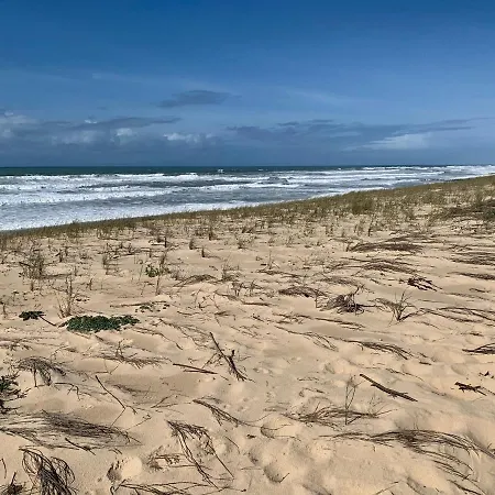 Appartement Bleu Marine 50m De La Plage *